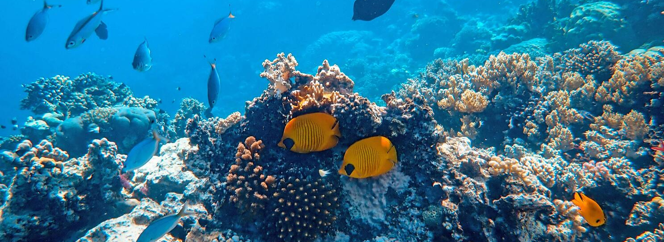 Filipinas RELAX 5 - Itinerario