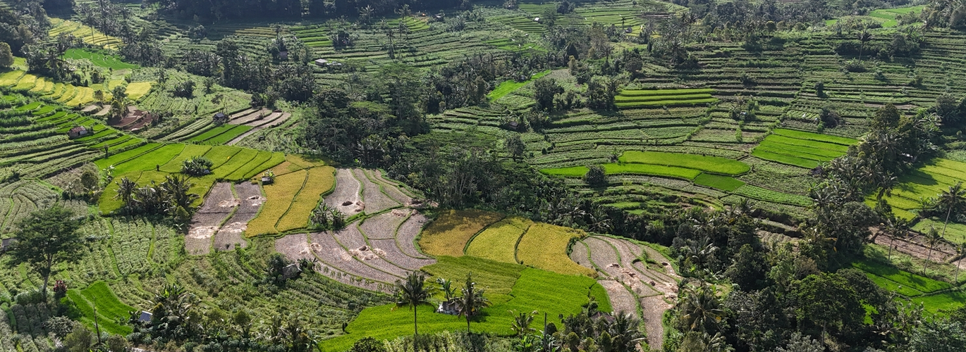 Indonesia AVENTURA 7 - Itinerario