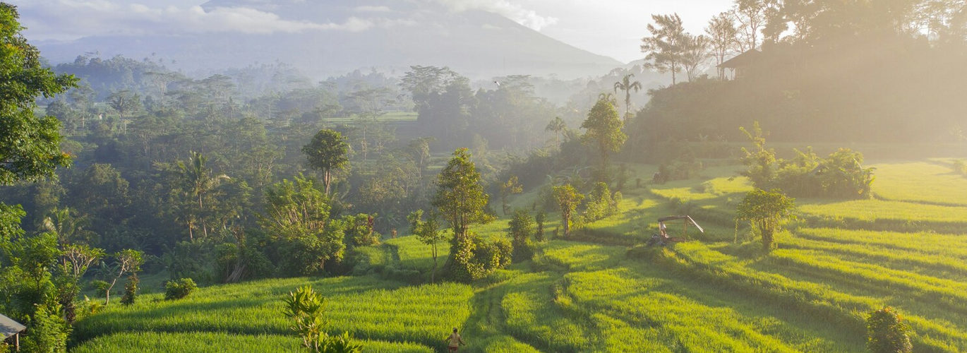 Indonesia RELAX 1 - Itinerario
