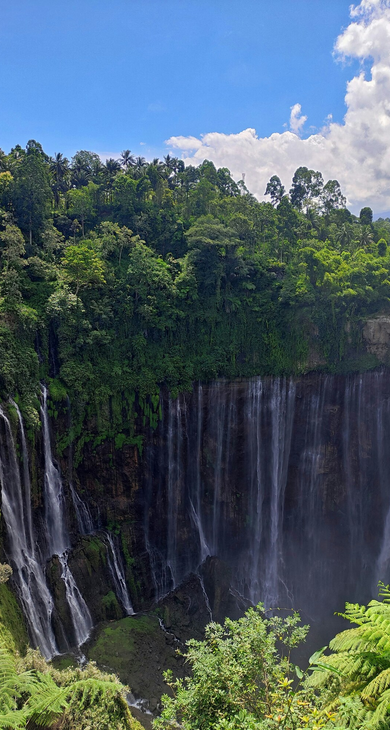 MÓVIL Indonesia Aventura 1