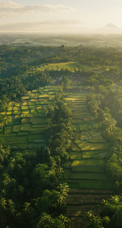 MÓVIL Indonesia Aventura 5